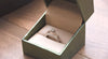 beautiful jewelo